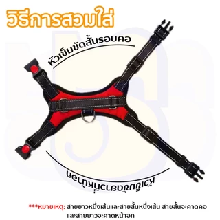 555PET เสื้อสุนัข สื้อรัดอกสุนัข พร้อมแถบสะท้อนแสง หัวเข็มขัดเปิดเร็วแข็งแรงและทนทาน ไม่มีเชือกรวมอยู่ด้วย