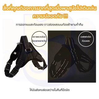 555PET เสื้อสุนัข สื้อรัดอกสุนัข พร้อมแถบสะท้อนแสง หัวเข็มขัดเปิดเร็วแข็งแรงและทนทาน ไม่มีเชือกรวมอยู่ด้วย