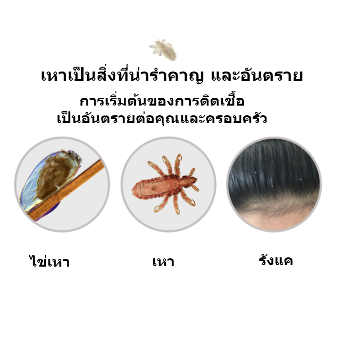 [ซื้อ 1 แถม 1] หวีสางเหาไข่เหาก็หวีได้หมดขจัดเหาเป็นเรื่องง่ายเครื่องดูดเหา หวีเหาสางไข่เหาหวีดูดเหากำจัดเหาหวีเสนียดไฟฟ ราคา ถูกที่สุด ดีลบีเคเค แกลเลอรีภาพที่ 4