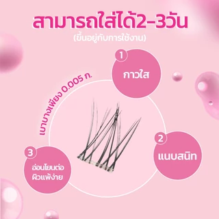 【มีส่งด่วนในเวลาทำการ】รวมรุ่นขนตามีกาวในตัวยอดฮิตจาก HeyeLash ติดง่าย ไม่ง้อกาว