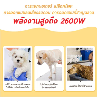 ดร์เป่าขนสัตว์ เสียงเบากว่าไดร์เป่าผมคน ไดร์เป่าขนแมว ไดร์ขนสุนัข เครื่อง พลังงานสูง