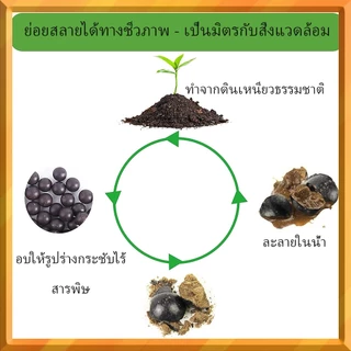 1000 ชิ้น กหนังสติ๊ก 9 มม . - 10 มม . สําหรับการล ่ าสัตว ์ และเป ้ าหมายการปฏิบัติ