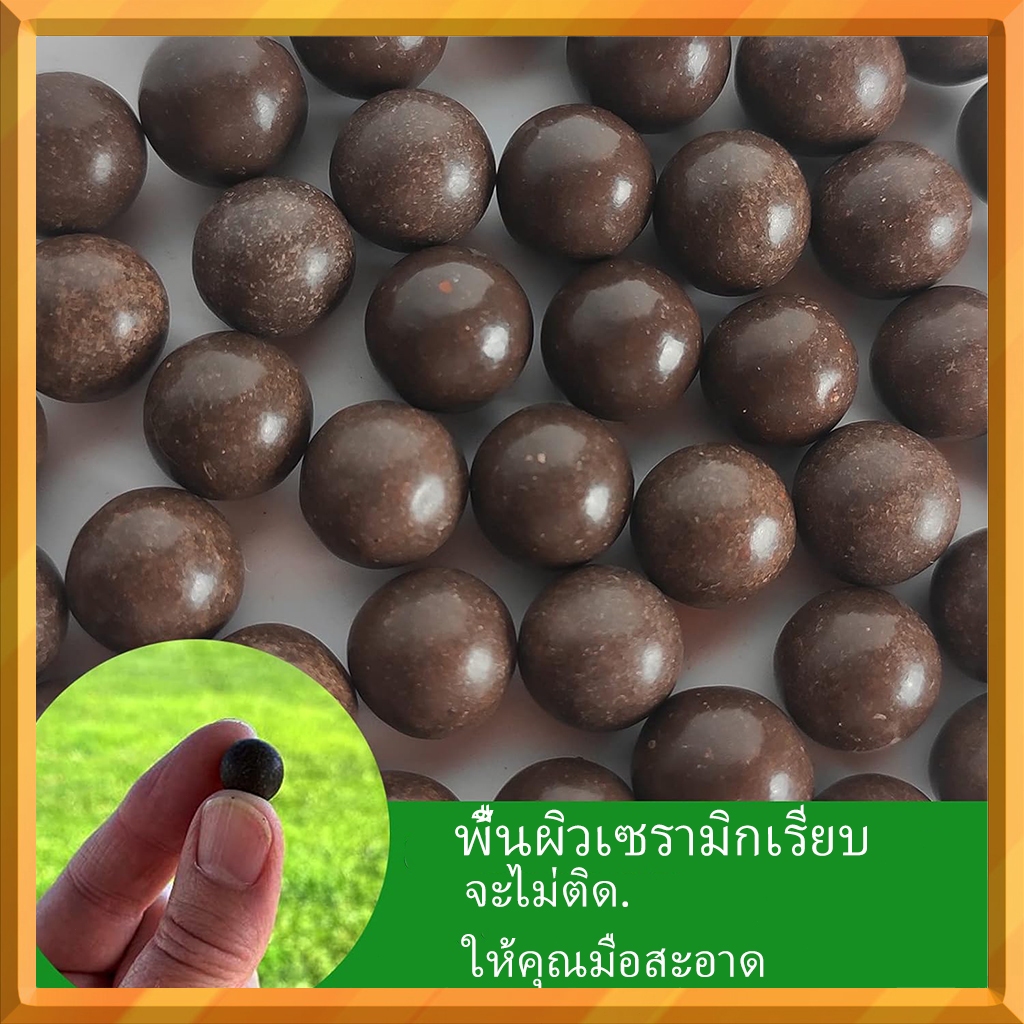 รูปภาพ 3