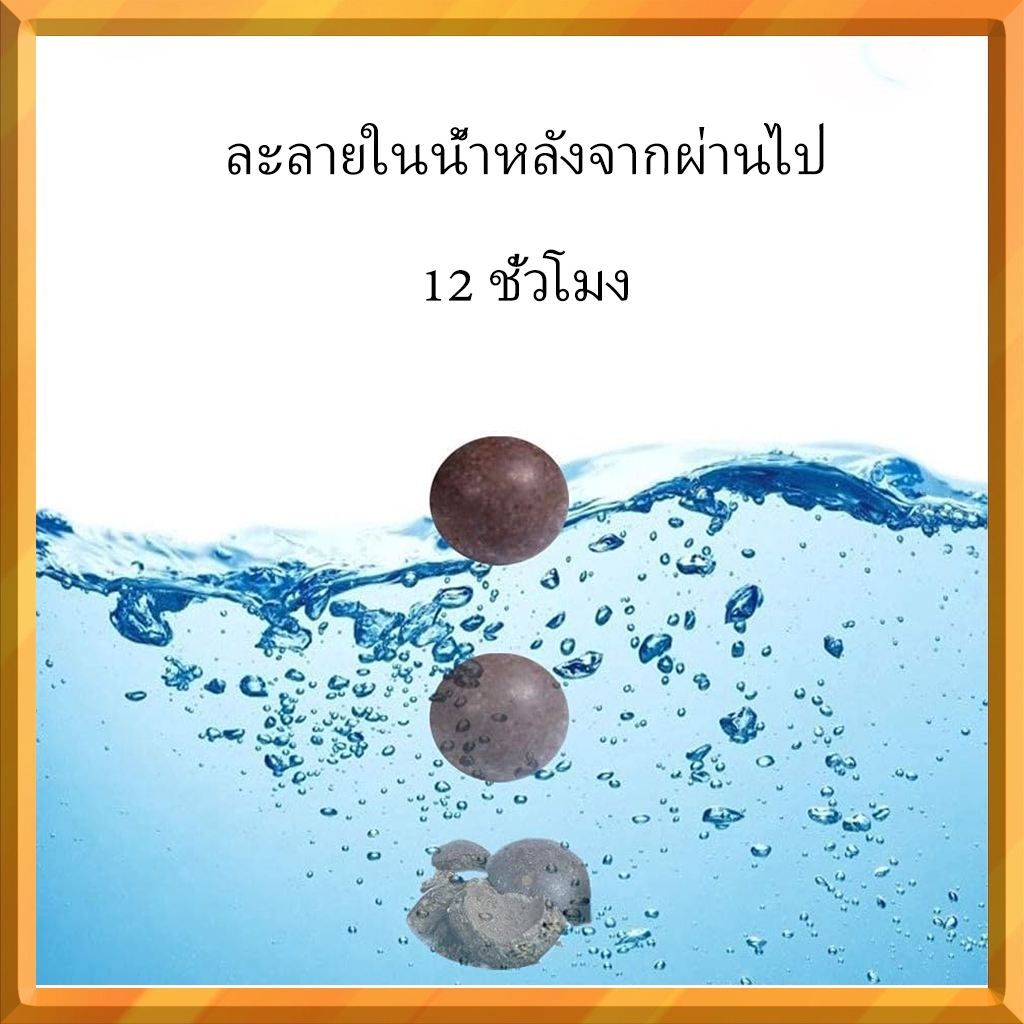 รูปภาพ 7