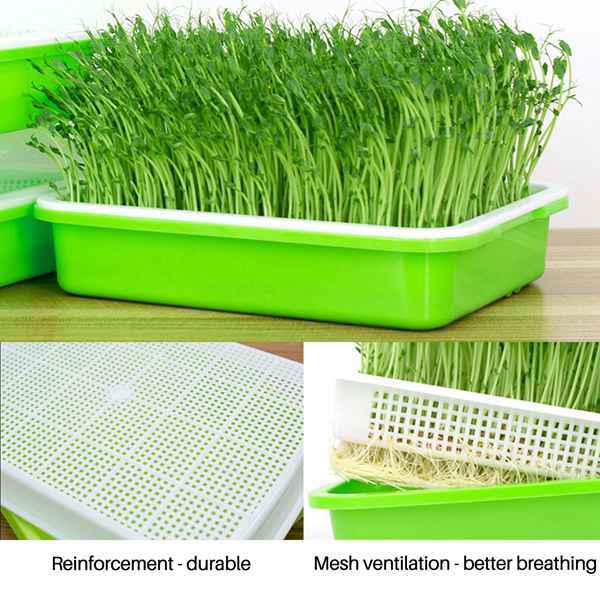 ถาดงอกพร ้ อมฝาปิด BPA Free Bean Sprout Grower Sprouting Tray, Dirt Free Way และความจุขนาดใหญ ่