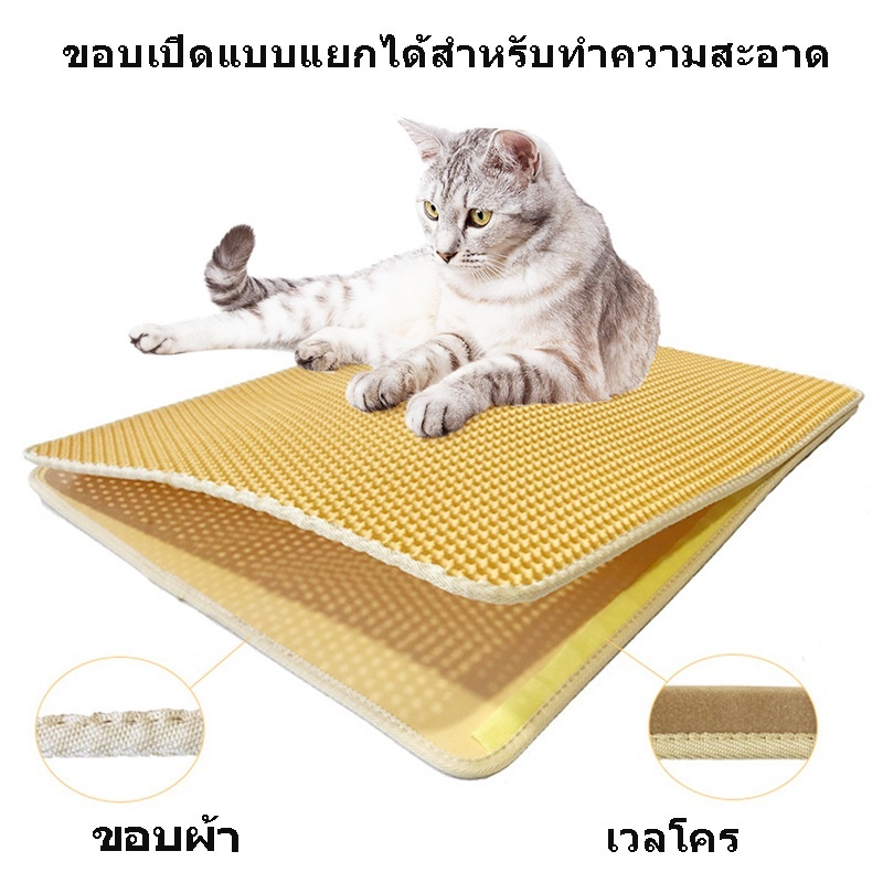 รูปภาพ 4