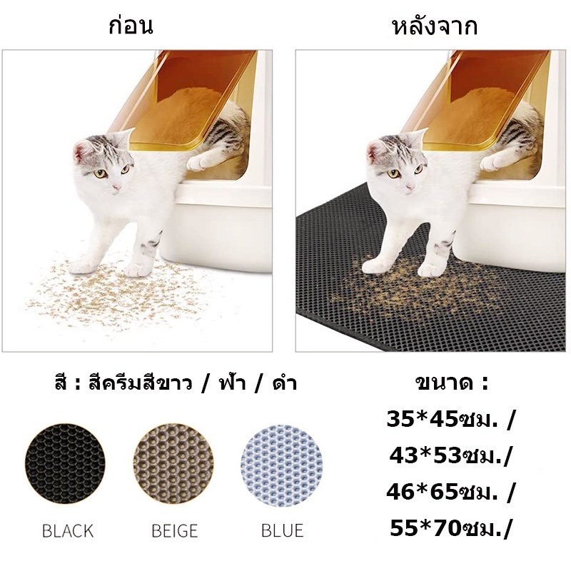 รูปภาพ 6