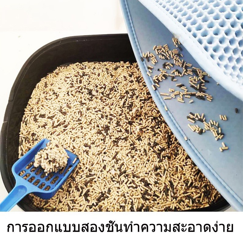 รูปภาพ 5