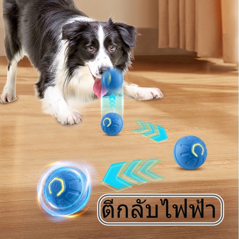 LOPETSTTO ของเล่นแมวอัจฉริยะล้อแมวอัตโนมัติบดฟันสัตว์เลี้ยงลูกสุนัขของเล่น