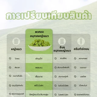 PETBABYS🌱หญ้าแมวอัดแท่ง😸หญ้าแมวฟรีซดราย 50กรัม ขนมหญ้าแมวบำรุงขน อกไก่ผสมต้นอ่อนข้าวสาลีฟรีซดราย