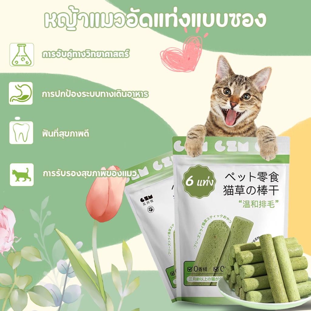 ส่วนลดคุ้มค่า หญ้าแมวฟรีซดราย 6 ราก หญ้าแมวแท่ง ไม้ฟันหญ้าแมว หญ้าแมวอัดแท่งแบบซอง ช่วยขัดฟัน กำจัดก้อนขน เสริมวิตามิน ขนมหญ้าแมว เพื่อสุขภาพช่องปาก