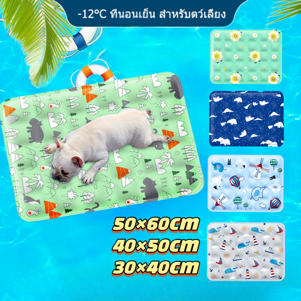 แผ่นเย็นแมว สัตว์เลี้ยง ที่นอนเจลเย็น แผ่นเจลเย็น เบาะนอนเย็น ที่นอนเย็น สำหรับสัตว์เลี้ยง ที่นอนสัตว์เลี้ยง แผ่นเจลเย็นแมวสุนัข