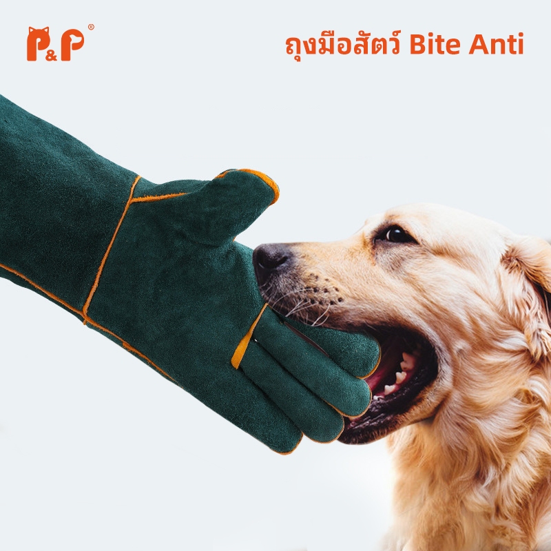 P&P:ถุงมือกันกัด ทำจากหนังวัวแท้ หนา3ชั้น ถุงมือป้องกันสัตว์กัด กันข่วน ใช้ฝึกสุนัข แมวดุ ยาว62ซม. ป้องกันการโดนกัด