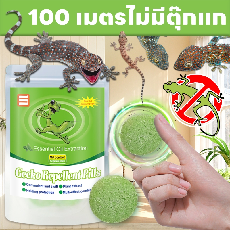 🦎100 เมตรไม่มีตุ๊กแก🦎OA ไล่จิ้งจก ยาไล่ตุ๊กแก ยาไล่จิ้งจก สารสกัดจากพืช สบายใจมากขึ้น ก้อนไล่ตุ๊กแก ไล่จิงจก ไล่ตุ๊กแก