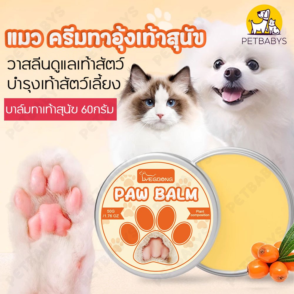 100 กรัม📌บาล์มทาอุ้งเท้าสุนัข บาล์มทาอุ้งเท้าสุนัขและแมว ด้วยส่วนผสมจากสมุนไพรธรรมชาติ สำหรับสุนัขอุ้งเท้าแห้ง แตก และหยาบ