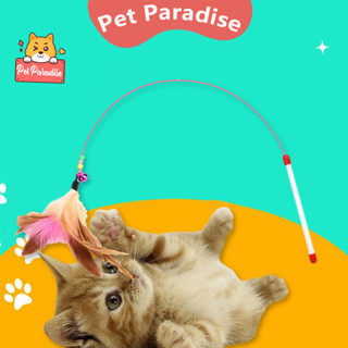 ของเล่นแมว ไม้ตกแมว ไม้ล่อแมว ประดับขนนก พร้อมกระดิ่ง ลวดสลิ…