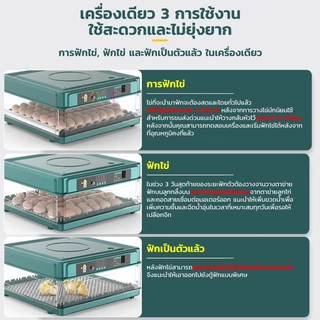 ตู้ฟักไข่ MONKEY ตู้ฟักไข่อัตโนมัติ 15 ถึง 130 ฟอง มีอะไหล่ครบ ควบคุมอุณหภูมิ-ความชื้นอัตโนมัติ