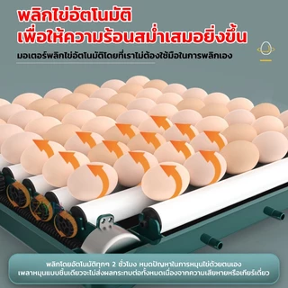 ตู้ฟักไข่ MONKEY ตู้ฟักไข่อัตโนมัติ 15 ถึง 130 ฟอง มีอะไหล่ครบ ควบคุมอุณหภูมิ-ความชื้นอัตโนมัติ