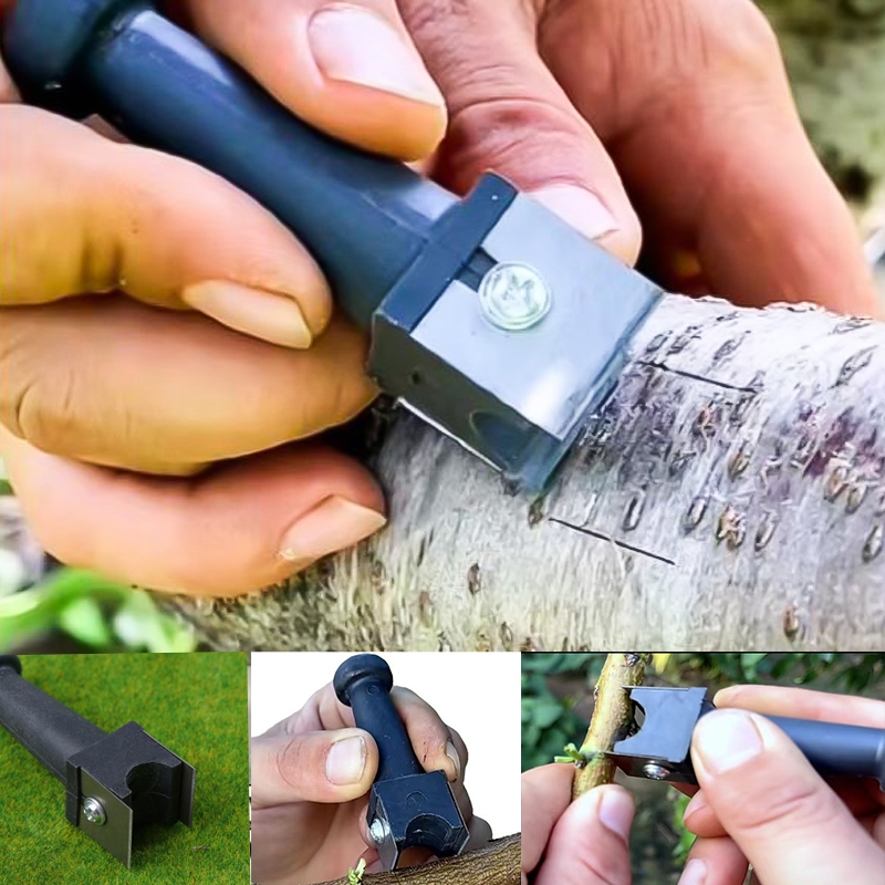 มีดผลไม้ต้นไม้ Grafting อุปกรณ์ตัดแต่งกิ่งสวนสวน Grafting Handy เครื่องมือคู่มีด Grafting มีดสวนเครื่องมือตัด Bark Removal เครื่องมือ