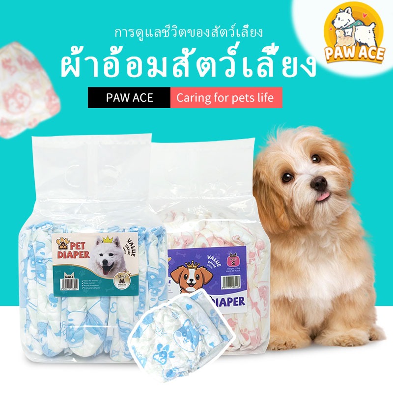 ผ้าอ้อมสุนัขแบบใช้แล้วทิ้ง ชาย หญิง ผ้าอ้อมสัตว์เลี้ยง แพมเพิสแมว แพมเพิสหมา