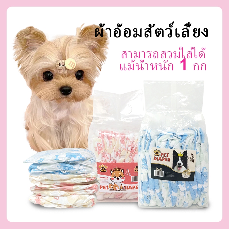 ผ้าอ้อมสัตว์เลี้ยง ขนาดเล็ก แมว สุนัข ผ้าอ้อม แพมเพิสแมว แพมเพิสหมา