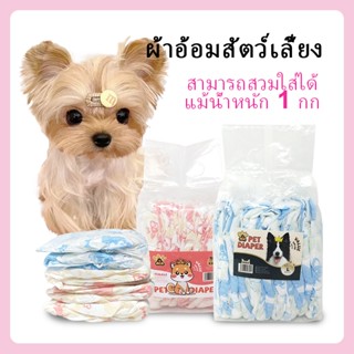 ผ้าอ้อมสัตว์เลี้ยง ขนาดเล็ก แมว สุนัข ผ้าอ้อม แพมเพิสแมว แพม…