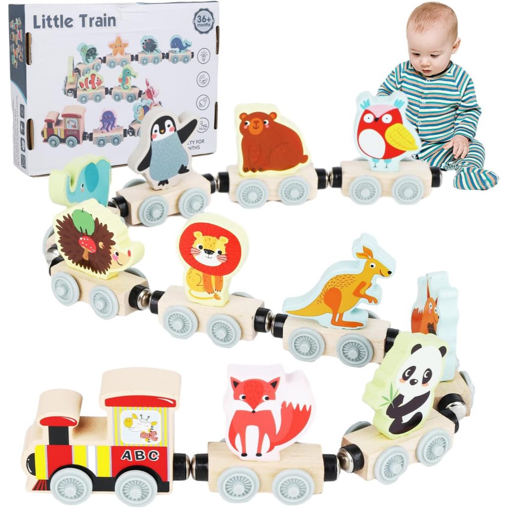 Montessori ไม้รถไฟแม่เหล็กของเล่นรถชุดการ์ตูน Early Educational Sorting และซ้อนของเล่น Sensory Fine Motor Skills