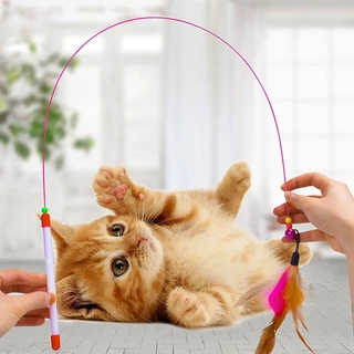 😻😻ของเล่นเเมว ของเล่นแมว ไม้ตกแมว แบบสปริง ล่อแมว ลวดสลิง ไม้แมว ยาวสุด ไม่ล่อแมว ของเล่น สำหรับแมว สำหรับสัตว์เลี้ยง
