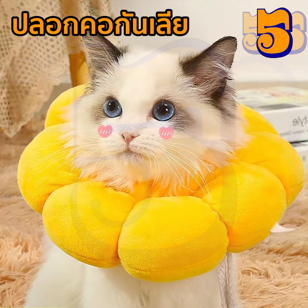 555pet มีสีสัน ปลอกคอป องกันการเลีย ปลอกคอสัตว ์ เลี ้ ยง ปลอกคอแมว มสบาย