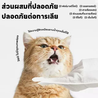 💦ถุงมืออาบน้ำแมวแบบแห้ง💦ถุงมือทำความสะอาดและสปาทรีทเม้นท์สุนัขและแมว 6ชิ้น/ห่อ ถุงมือเช็ดตั ใช้งานง่าย ไม่ระคายเคืองผิว ช่วยAnti-Bacterial ดับกลิ่น ทำความสะอาด สุนัข แมว