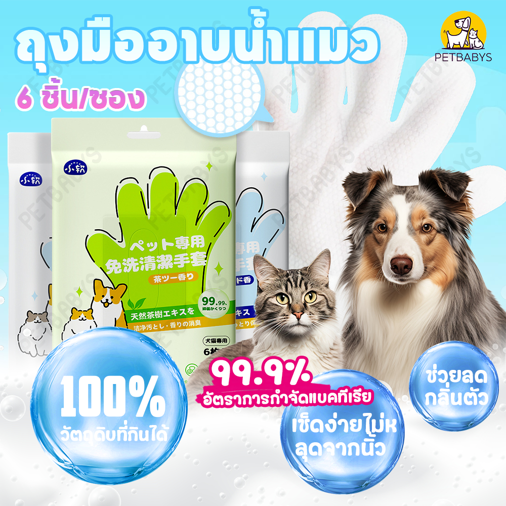 💦ถุงมืออาบน้ำแมวแบบแห้ง💦ถุงมือทำความสะอาดและสปาทรีทเม้นท์สุนัขและแมว 6ชิ้น/ห่อ ถุงมือเช็ดตั ใช้งานง่าย ไม่ระคายเคืองผิว ช่วยAnti-Bacterial ดับกลิ่น ทำความสะอาด สุนัข แมว