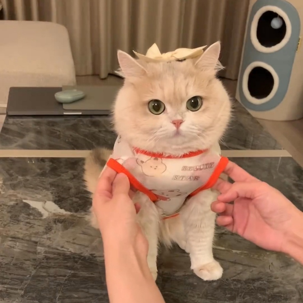 【Hipidog】เสื ้ อผ ้ าสุนัขน ่ ารักระบายอากาศสัตว ์ เลี ้ ยงลูกสุนัขเสื ้ อกั ๊ กป ้ องกันแสงแดดเสื ้ อยืดแมว
