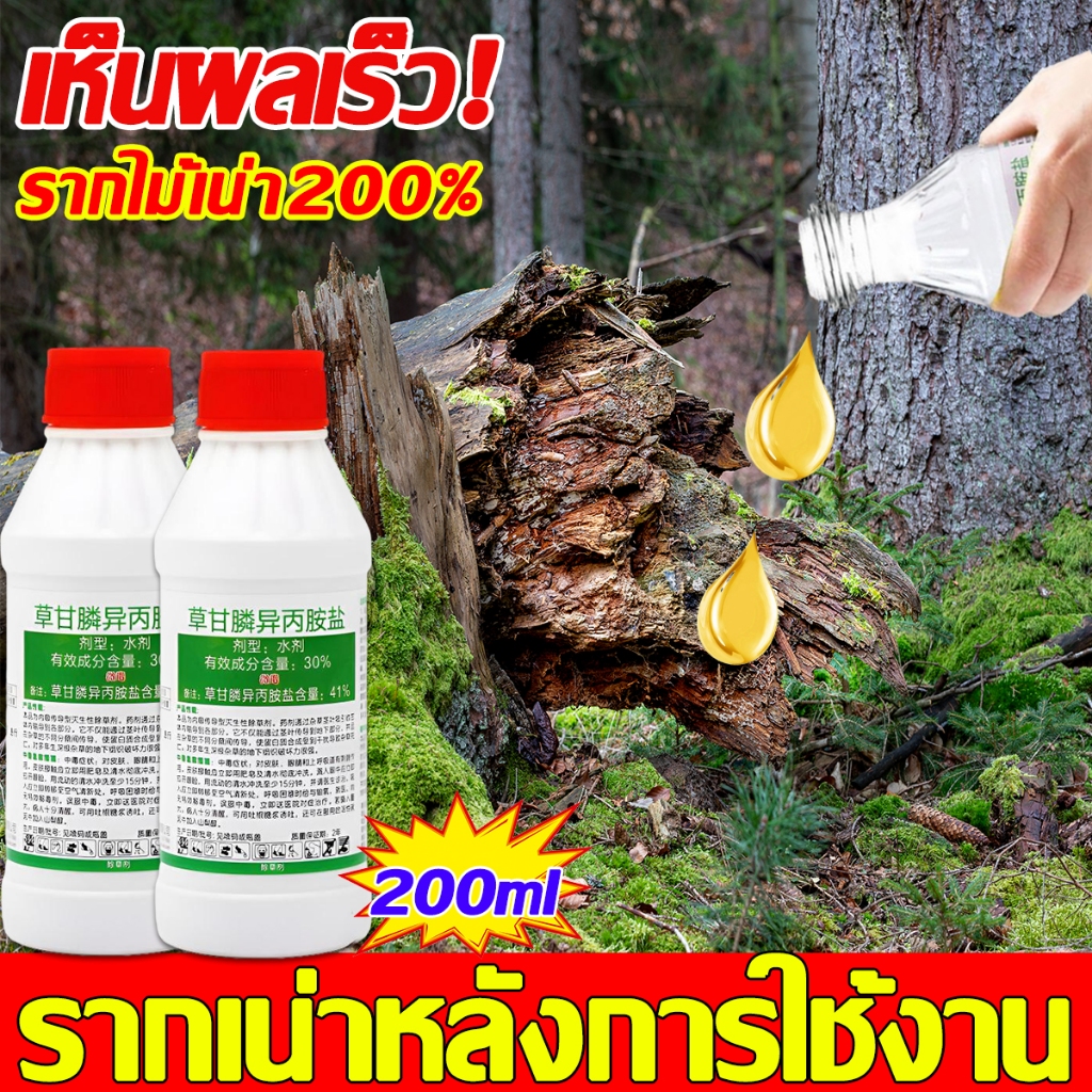 ซื้อ 1หยดตายจากราก ยาฆ่าต้นไม้ใหญ่ 200ML เข้มข้นมาก สารกําจัดกอไผ่ รากเน่ารากไม่ขึ้นอีก ยาฆ่ากอไผ่ ยาฆ่าตอไม้ ยาฆ่าหญ้า