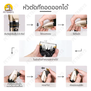 🐩อุปกรณ์เสริมฟรี 🔋เครื่องตัดขน สุนัข แมว ชุด12ชิ้น ปัตตาเลี่ยนตัดขนแมวและสุนัข แบบไร้สาย เสียงเบา