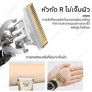 🐩อุปกรณ์เสริมฟรี 🔋เครื่องตัดขน สุนัข แมว ชุด12ชิ้น ปัตตาเลี่ยนตัดขนแมวและสุนัข แบบไร้สาย เสียงเบา