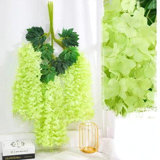 เถาวัลย์วิสทีเรีย ตกแต่งพืชสวนที่สวยงาม ตกแต่งฉลอง ตกแต่งเพด…