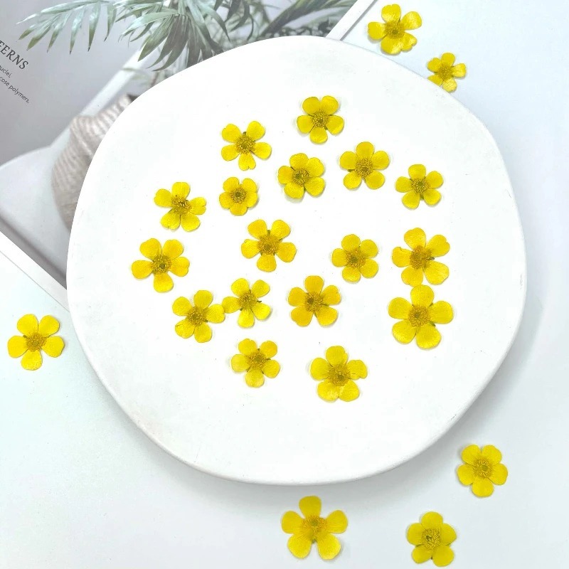 Pressed สีเหลือง buttercup แห้งดอกไม้ DIY หยดกาวเครื่องประดับเคสโทรศัพท์บุ๊คมาร์ค,8 ชิ้น/1.5-2.5 ซม.
