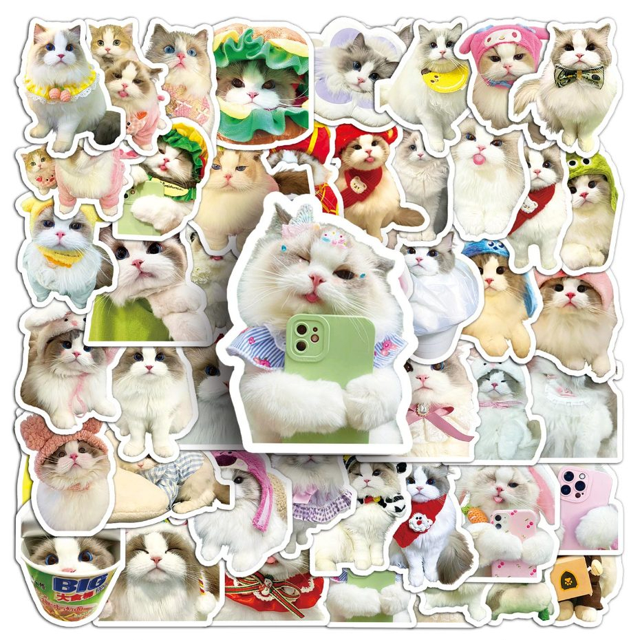 Hot Creative Super น่ารัก 50 ชิ้น Ragdoll Cat meme สติกเกอร์ DIY สําหรับโทรศัพท์แล็ปท็อปรถสติกเกอร์ Creative Home สติกเกอร์