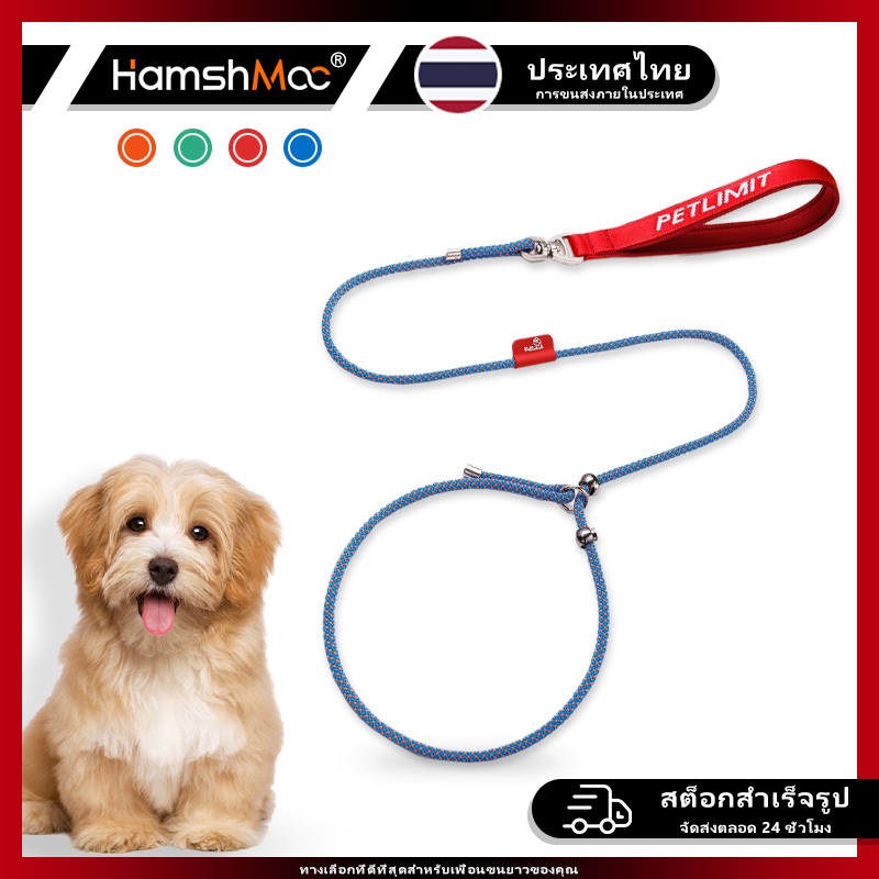 HamshMoc สายจูงสุนัข Heavy Duty สัตว์เลี้ยง Slip ปลอกคอตะกั่วแบบบูรณาการ Easy Control Strong สําหรับฝึกสุนัขพร้อมที่จับสบาย