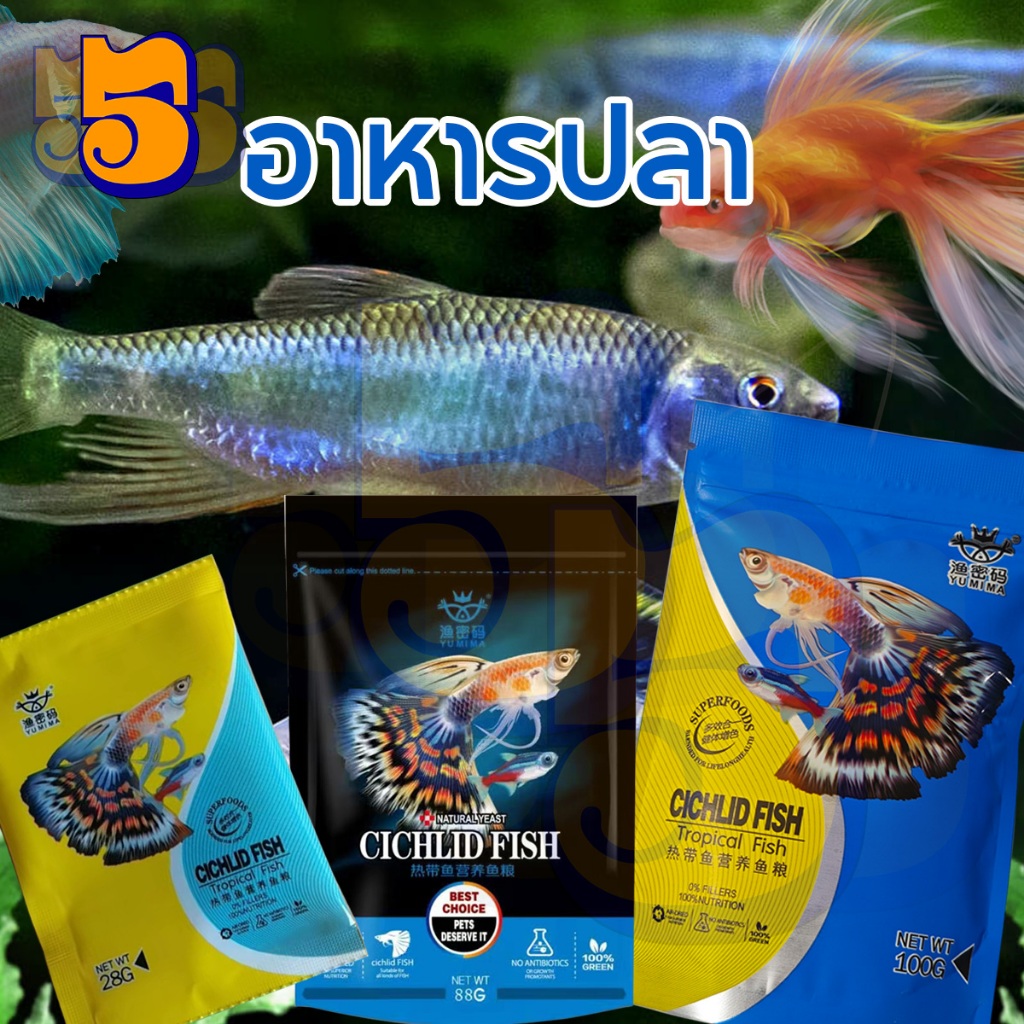 555Pet อาหารปลา ปลากัด ปลาเขตร้อน อาหารปลากัด ทุกสายพันธุ์ โปรตีนสูง สารอาหารครบถ้วน เม็ดจิ๋วลอยน้ำ