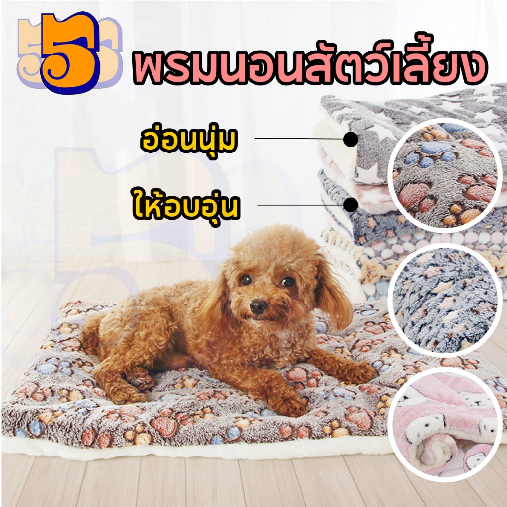 555Pet ที่นอนสุนัข ที่นอนแมว  พรมนอนสัตว์เลี้ยง เบาะรองนั่ง ที่นอนสัตว์เลี้ยง