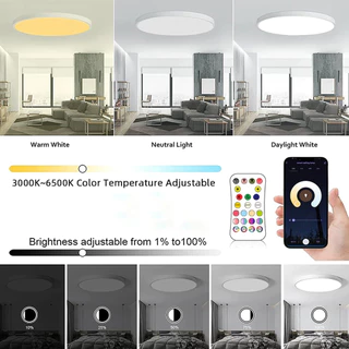 Amiluo ไฟเพดาน LED 30CM 24W สมาร์ท WiFi RGBCW Tuya Alexa กันน้ำ