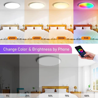 Amiluo ไฟเพดาน LED 30CM 24W สมาร์ท WiFi RGBCW Tuya Alexa กันน้ำ