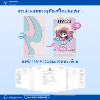 ได้รับ 5 สินค้า เพียง 73 บาท//[ค่าสายตา -0.00~-5.00] UYAAI คอนแทคเลนส์สีเทา คอนเทคเลนส์สายตาสั้น บิ๊กอาย ตาโต 14.5 มม.big eyes Contact lens set