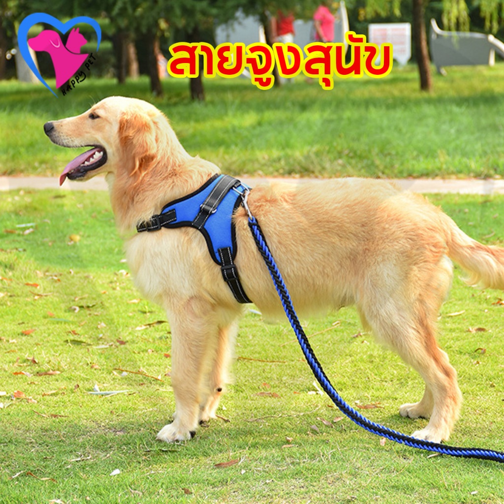 Happy Pet หลายสี หลายไซส์ จูงสัตว์เลี้ยง สายจูงสุนัข สายรัดอกสุนัข สะท้อนแสง  มีหลายสี/ไซส์ให้เลือก พร้อมส่ง (แยกขาย)