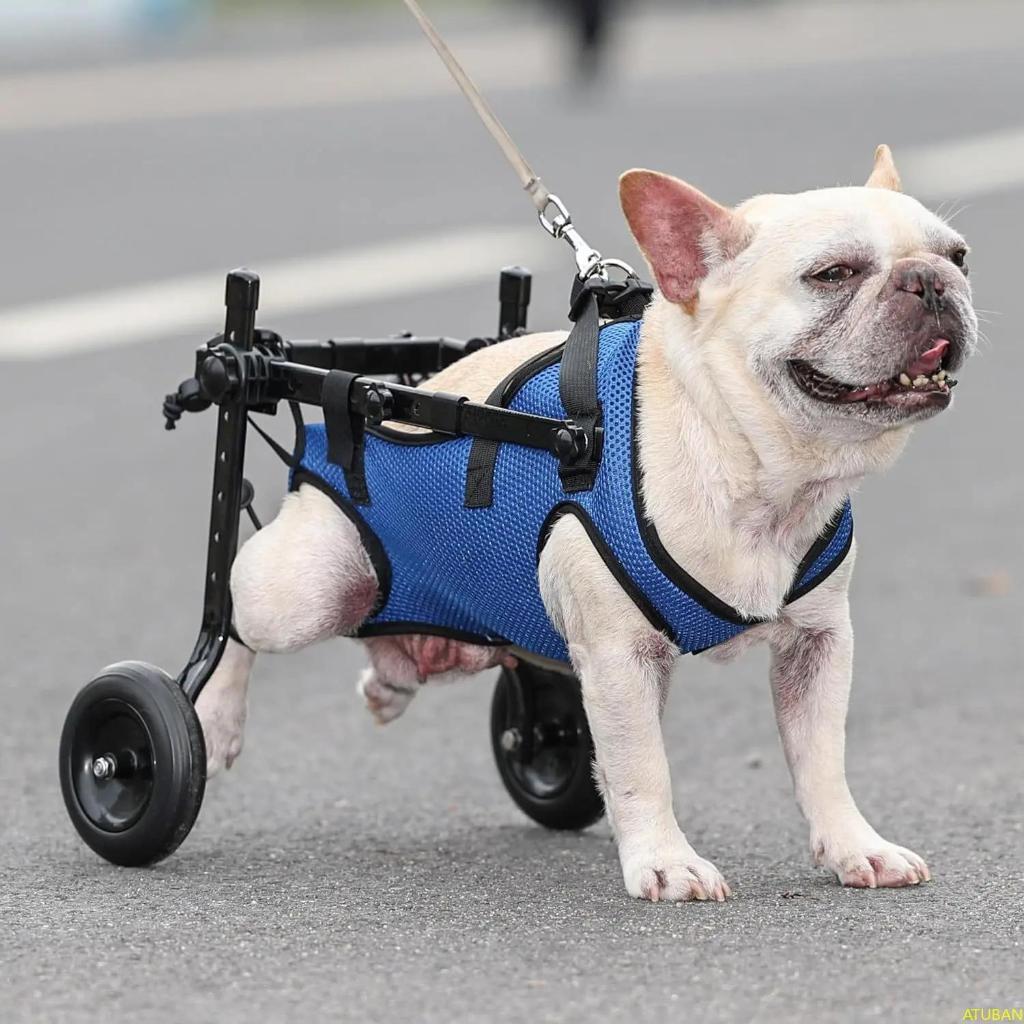 รถเข็นสุนัขขนาดเล็กปรับรถเข็นสุนัข-ความสามารถสําหรับสัตว์เลี้ยงคนพิการเหมาะสําหรับสัตว์เลี้ยงชั่งน้ําหนัก8-20ปอนด์