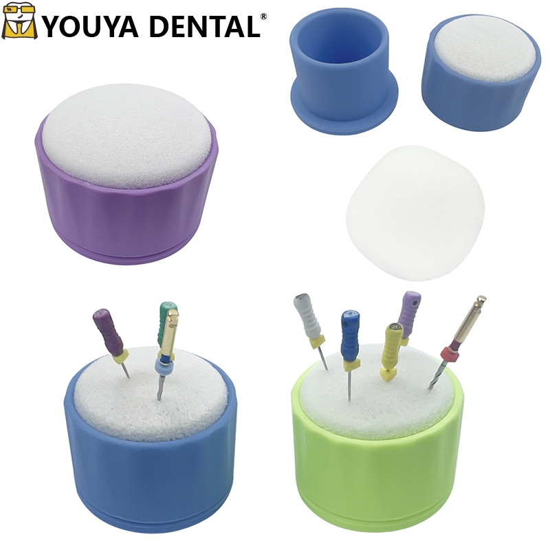 1 ชิ้นทันตกรรม Endo ขาตั้ง Root Canal ทําความสะอาดโฟมแฟ้มเจาะบล็อก Endodontic แฟ้มซักผ้ากล่องฟองน้ํา