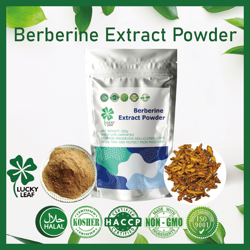 Berberine Extract Powder/Reat Bacteria/Fungus/Parasites/Viruses/Other Microbes-HALAL&KOSHER ได้รับการรับรอง