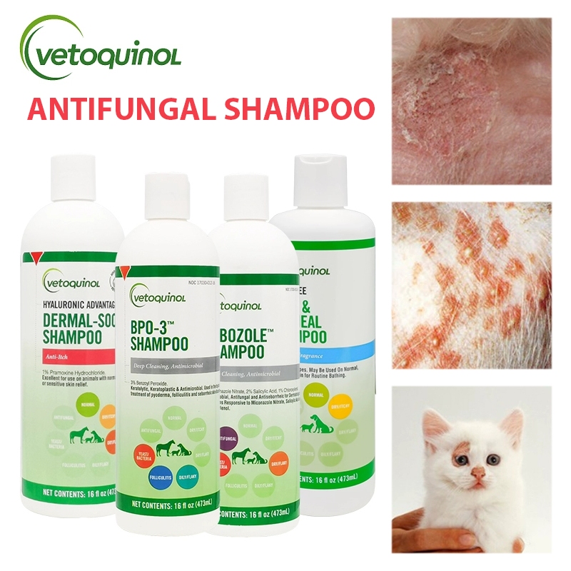 Vetoquinol Universal Medicated Shampoo for Dogs Cats 473ml แชมพูป้องกันเชื้อรา