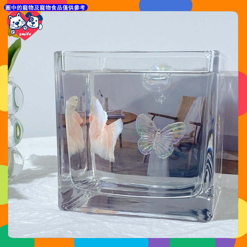 Hand-Made Glass Bubble Water Polo เลเซอร์ที่มีสีสันผีเสื้อ Suspension Ball ตกแต่งตู้ปลา Micro Landscape Creative Aquascaping